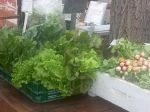 first csa pickup of the season 4/5