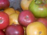 heirloom tomatoes
