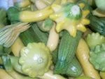 baby summer squash medley