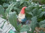 gnombrie