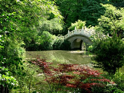 Die Zizhuyuan Garten: Eine Oase der Ruhe und kulturelle Juwelen!